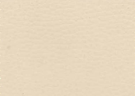 Polipiel Beige